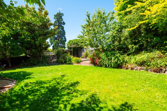 Relaxing backyard